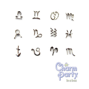 Zodiac Sign Charms